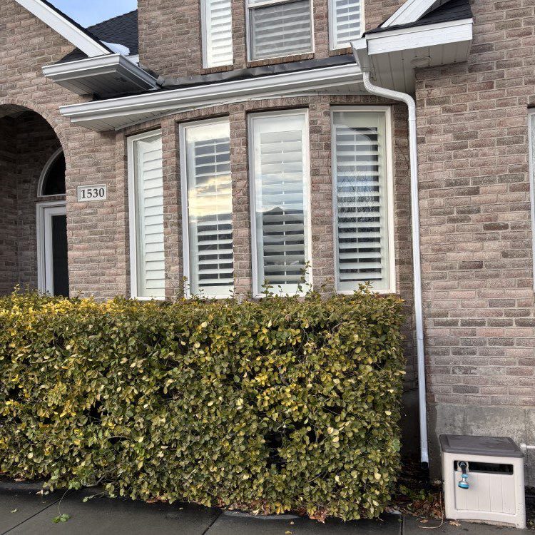 Seamless Rain Gutters